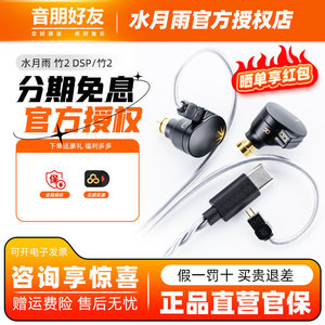 水月雨 竹2 DSP解码 入耳式耳机typec可换线HiFi发烧有线带麦耳塞