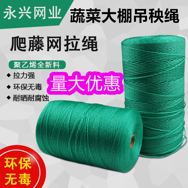 爬藤网种植网尼龙线绳子捆绑塑料其它园艺用品