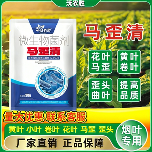 沃农胜马歪清 烤烟马歪 歪头 花叶 卷叶 曲叶 病毒 落叶 保证正品