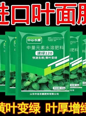 速绿120叶绿素正品家庭种菜园艺壮苗果树蔬菜玉米黄叶变绿叶面肥