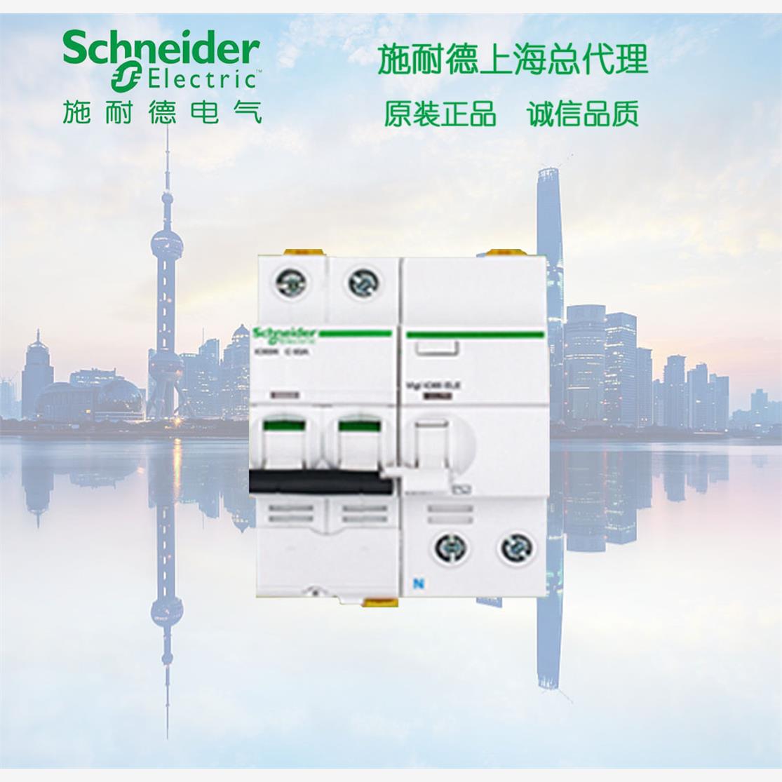 库存现货正品  施耐德漏电断路器 2P A9F18206+A9V57240   C6A带