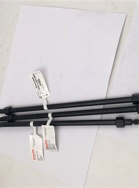 Thermo戴安(AS19 062885( CS16-4UL 088584)阴离子色谱柱 079805
