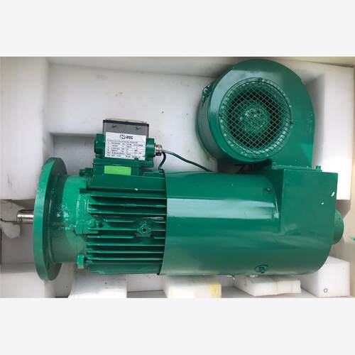 能健REE变桨电机 DC-Mostr  ZLC112L-W-005   00000256带编码器