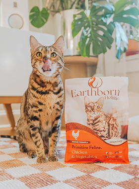 美国爱邦猫粮EARTHBORN HOLISTIC天选优质鸡肉配方无谷全猫2kg6kg