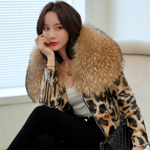 欧诗捷修身时尚短款毛领皮衣直销