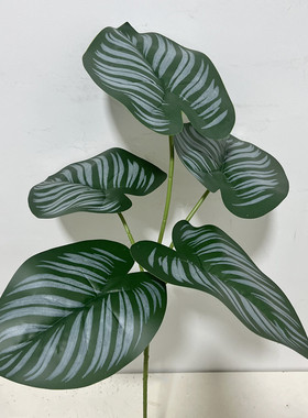 仿真长单支PU手感大叶片植物装饰