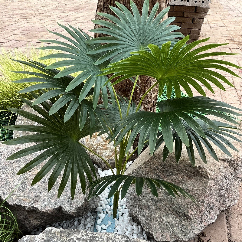 西欧仿真绿植园艺扇葵竹葵美人蕉芭蕉叶家居落地装饰景观橱窗摆件,鲜花速递/花卉仿真/绿植园艺,仿真绿植,淘宝优惠券,粉丝福利购,淘宝优惠卷