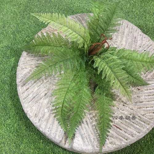 大号田园风花箱塑料鱼尾波斯草