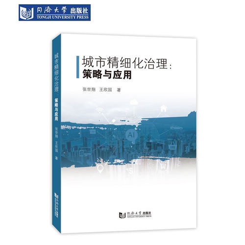 城市精细化治理：策略与应用