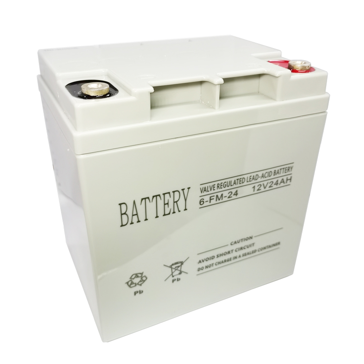 消防主机UPS电源蓄电池12V24AH