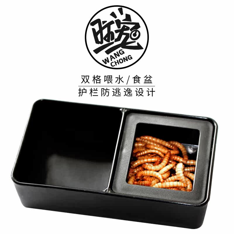 爬宠喂水喂食双格正方形食盆适用守宫蜥蜴捕鸟蛛防逃逸设计面包虫,宠物/宠物食品及用品,爬宠清洁及日用品,淘宝优惠券,粉丝福利购,淘宝优惠卷