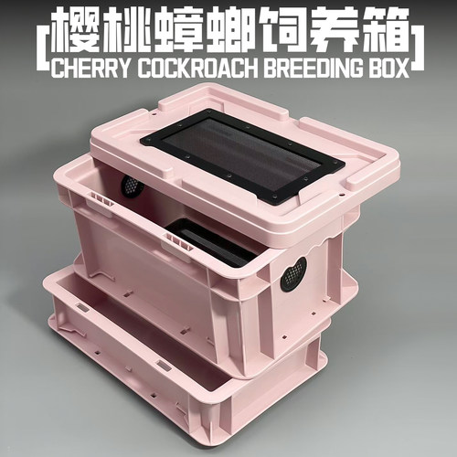 樱桃蟑螂杜比亚工业风饲养箱