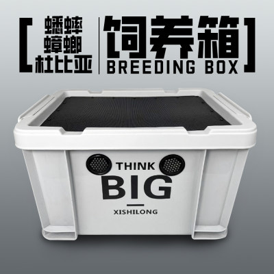 蟋蟀蟑螂杜比亚饲养箱爬宠白蟋蟀养殖盒针头蟋蟀养殖盒油葫芦饲料