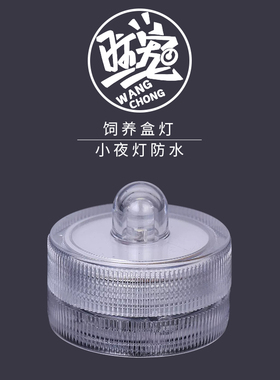 爬宠防水LED 白色灯圆形电池创意蜡烛跳蛛螳螂昆虫夜灯饲养盒造景