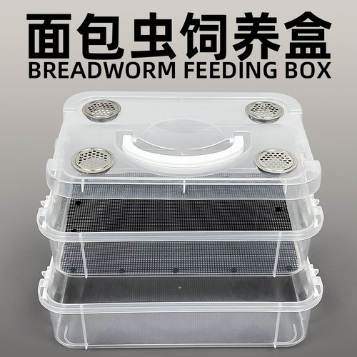 面包虫饲养盒守宫蝎子捕鸟蛛