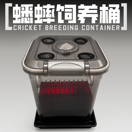 家用小型蟋蟀饲养桶过滤免打扫