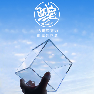 宠物饲养盒亚克力透明迷你桌面雨林缸蜘蛛斗鱼蝎子鼠妇爬宠透气盒