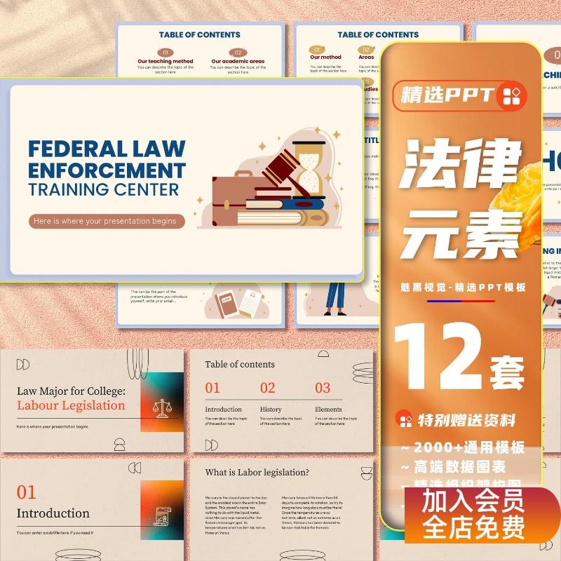 PPT模板法律法学律师司法援助普法教育讲座卡通简约国外课件素材