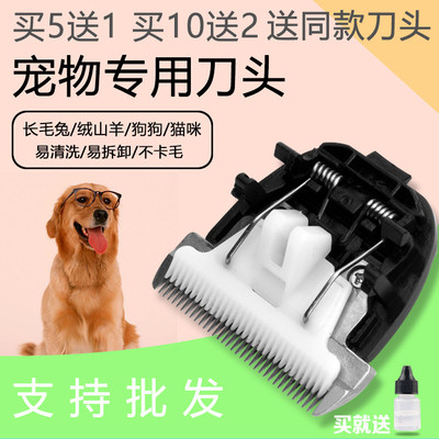 适用 宝德龙 600 803 805 8001 8007 8011宠物理发器陶瓷刀头35齿