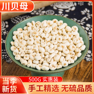 中药材 正品新货野生平贝母米贝川贝母粉农家尖贝母500g克 中草药