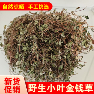 正宗四川野生小叶金钱草中草药肾结石过路黄新鲜干货中药材泡水喝