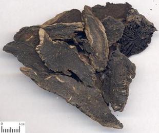 中药材玄参元参黑玄参中药材有麦冬桔梗泡茶500g包邮正品深山玄参