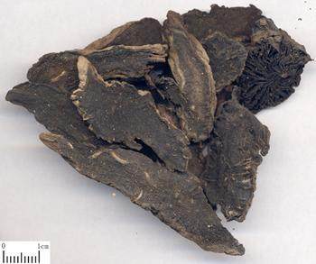 散装玄参桔梗中药材500g包邮