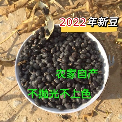 22黑豆乌发杂粮3斤河南特产