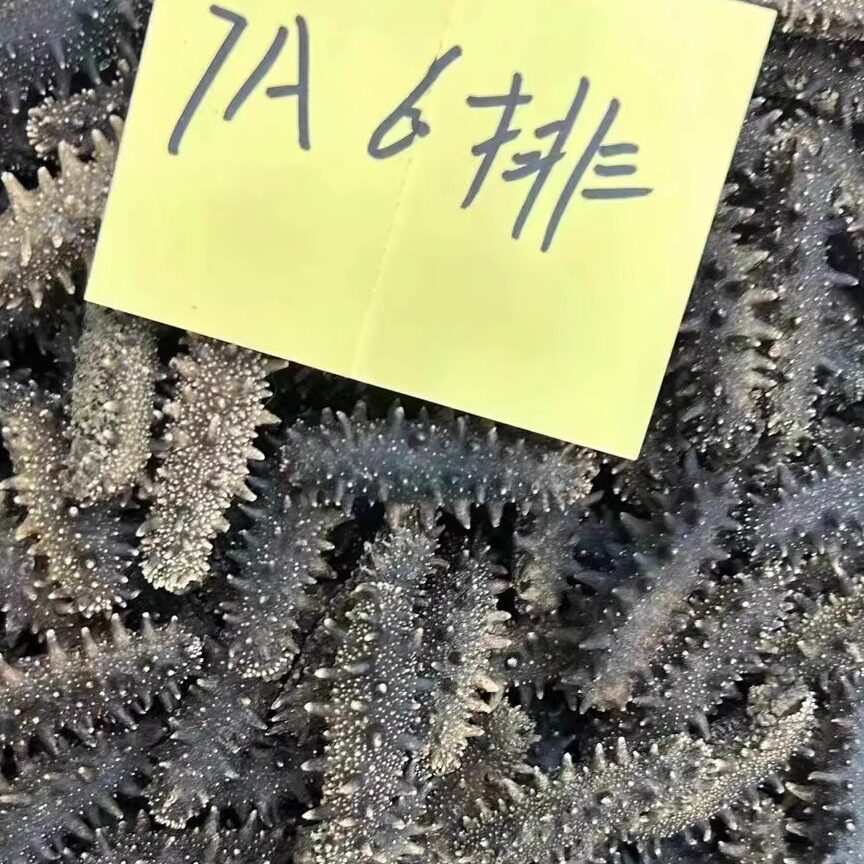 大连辽参海参干货500克9A淡干6排辽参刺参非即食礼盒送礼高参龄 - 实物图