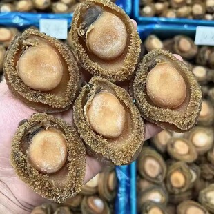 南非天然野外青鱼干鲍溏心鲍鱼大鲍鱼4头5头6头8头500g包邮非即食