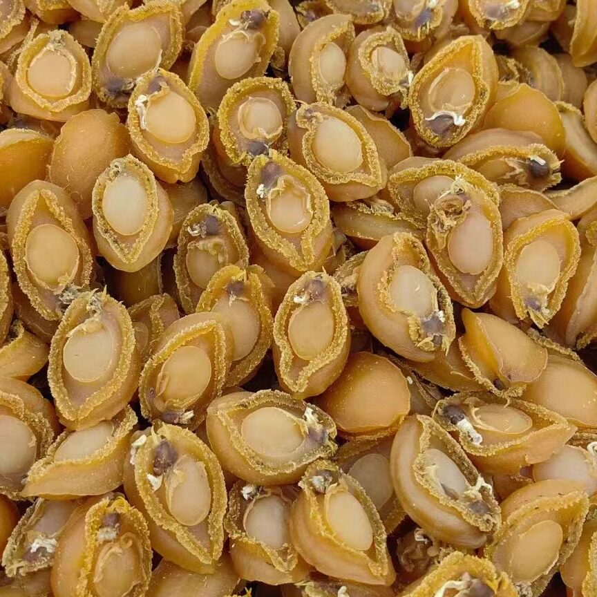大鲍鱼干1斤500g约30头足干天然海鲜干货 煮粥煲汤佛跳墙原料
