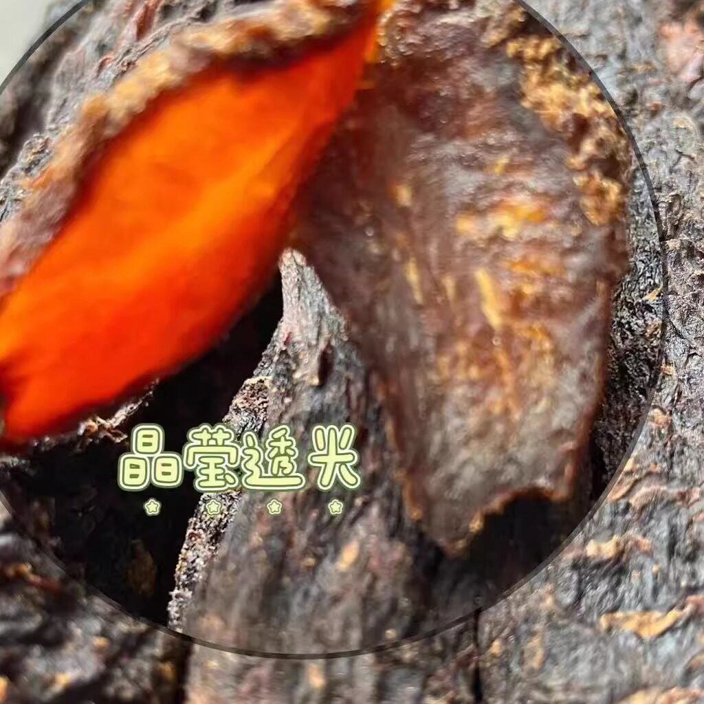 肉苁蓉500g内蒙古阿拉善整根油切片非特级新疆非野生泡茶滋补