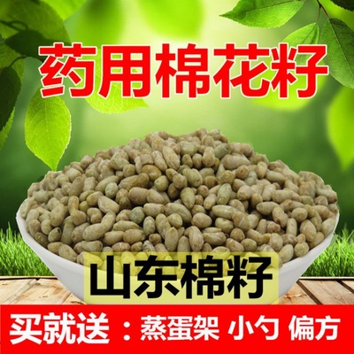 山东心脏偏方药用包邮棉花籽