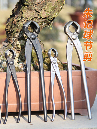 Zhuji Ball-Shaped Scissors, Zhuji Professional Bonsai Tools, Ball Scissors, Ball Pliers, Zhuji Genuine Pruning Shears, Stainless Steel