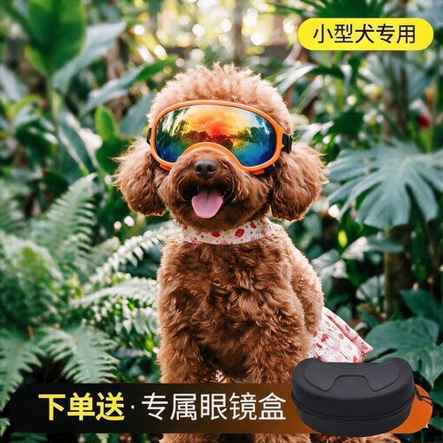 下单送眼镜盒+保价30天|狗狗墨镜