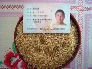 五常市鑫原乡味稻花香糙米含胚芽可发芽糙米 黑龙江糙米