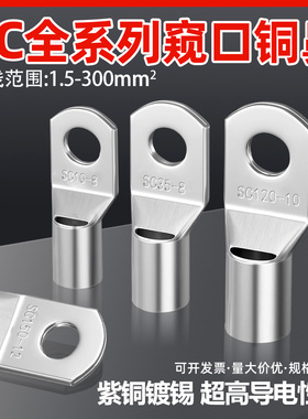 100只紫铜SC10-8窥口铜接线端子/铜端子/线鼻子/铜接头10平方