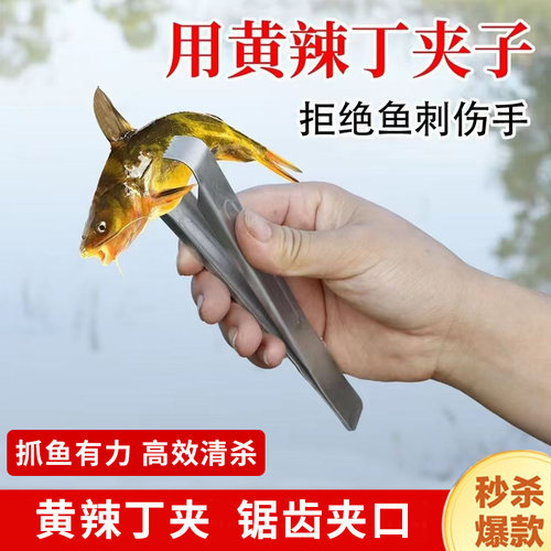 防扎手工具快速宰杀黄辣丁控鱼夹