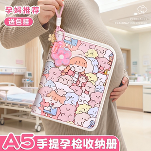产检孕检收纳册带拉链包产检报告单收纳册马宝宝孕期档案册活页收纳袋文件夹孕妇初期用品产检手册资料记录册