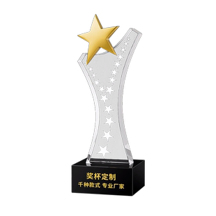 水晶奖杯定制创意奖牌订制优秀员工比赛冠军年会奖杯定制高档大气