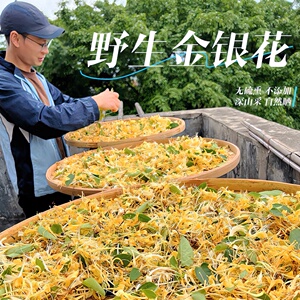 农村带绒毛野生金银花泡茶降火清热清肺阳光下晒干新鲜纯天然清香