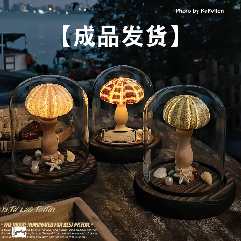 海螺小夜灯天然贝壳海胆小夜灯