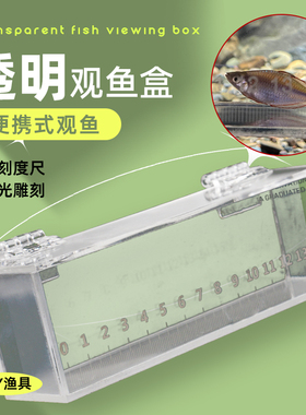 透明带刻度亚克力观鱼盒小物钓野采鳑鲏白条马口小溪流野营观察盒