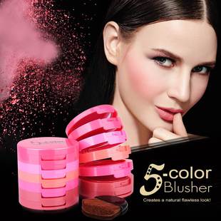 5 color powder blusher 5 in 1 concealer pressed powder腮红套