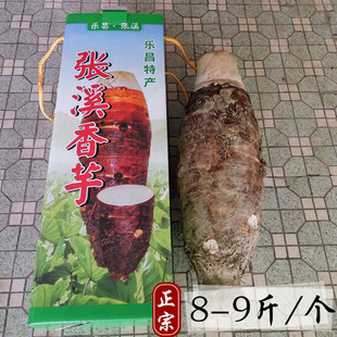 【8-9斤】乐昌张溪芋头 炮弹芋头 农家新鲜蔬菜香芋槟榔芋 包邮