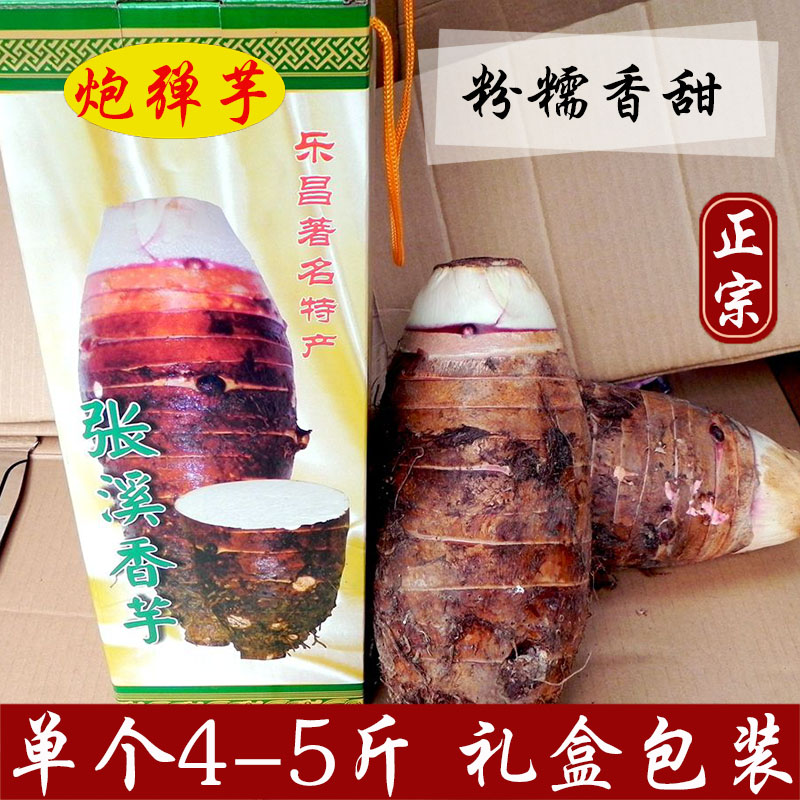 正宗乐昌张溪香芋4-5斤1个农家新鲜槟榔芋头 韶关特产炮弹大芋头