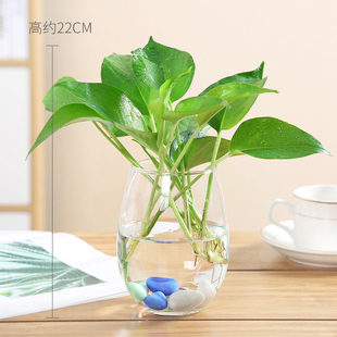 歐式 玻璃花瓶水培植物綠蘿容器養(yǎng)花透明瓶子水生水養(yǎng)花卉器皿