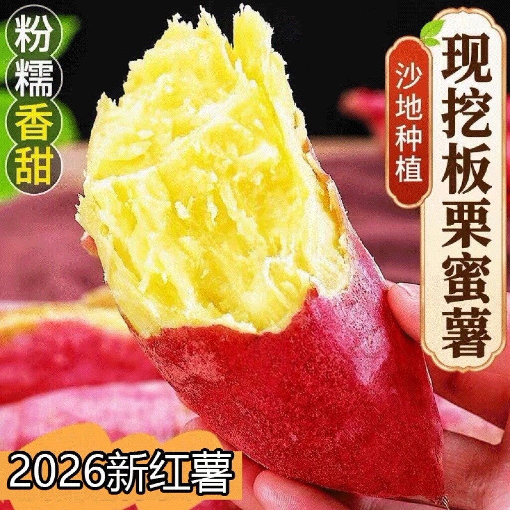 2026新红薯正宗黄心板栗薯新鲜老品种现挖地瓜山芋糖黄金红皮香薯