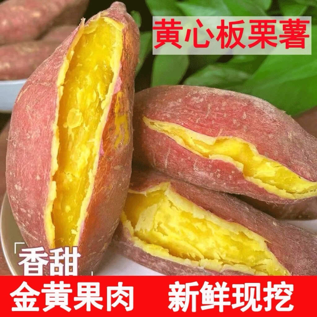 正宗新鲜板栗薯黄心红薯老品种香薯沙地地瓜山芋糖心黄金蜜薯沙地