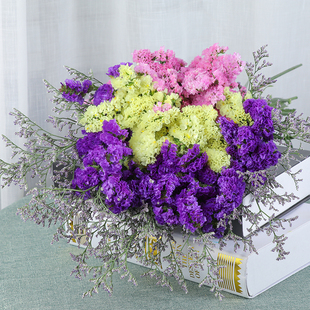 云南勿忘我干花大束勿忘我家居摆设小清新装 饰鲜花真花ins干花束